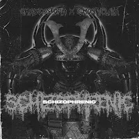 Shadowstorm — Schizophrenic (Slowed + Reverb) Ft Ghostyplaya — обложка